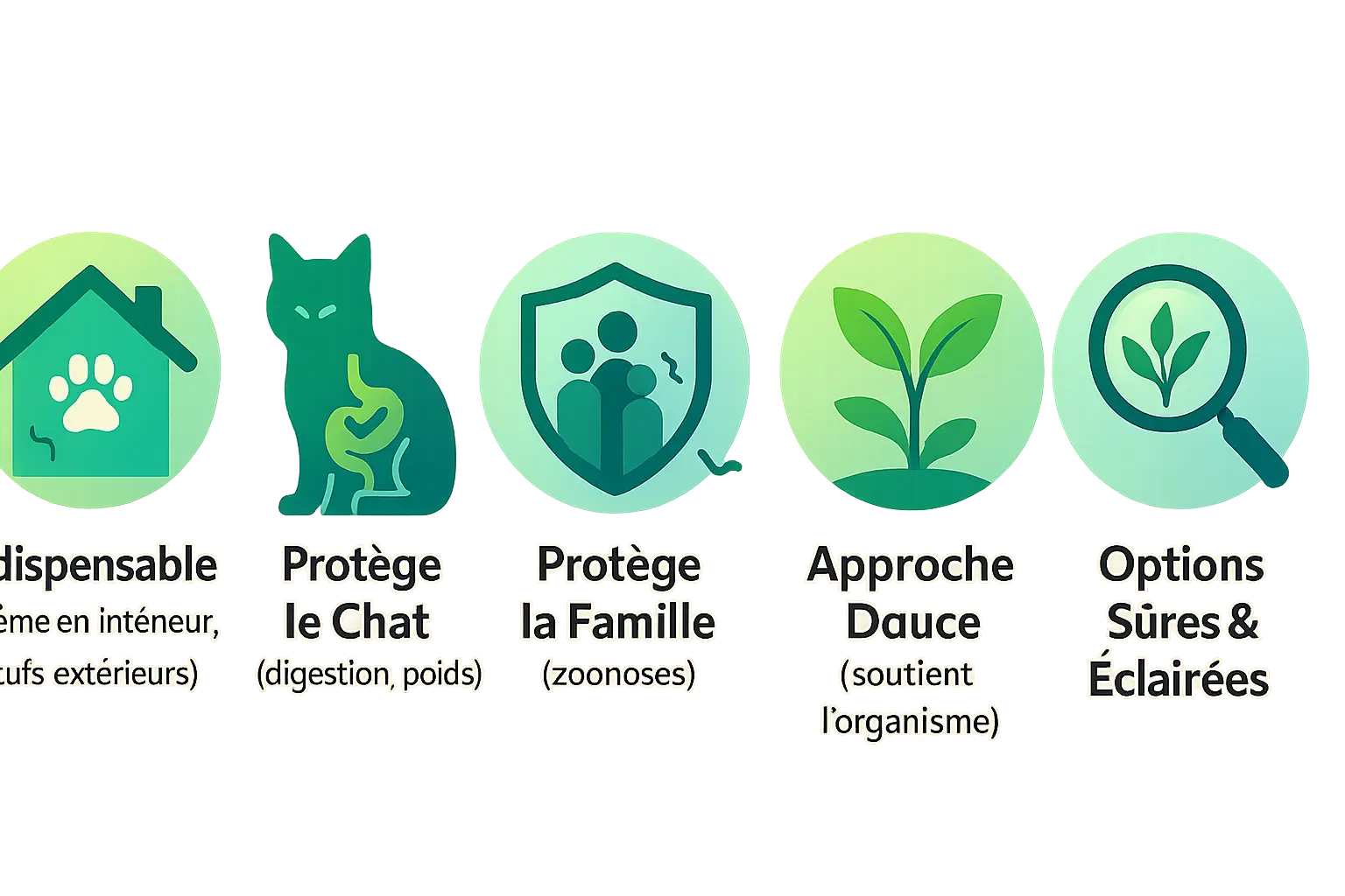 Illustration d'un chat avec des ingrédients naturels pour vermifuge