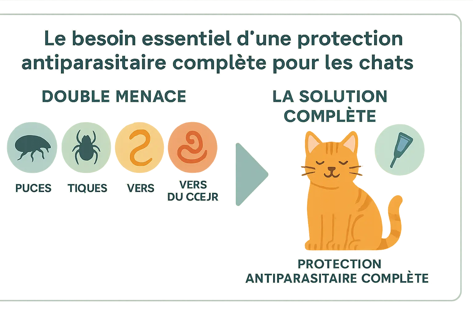 Illustration de la protection antiparasitaire complète pour chats contre la double menace des parasites internes et externes