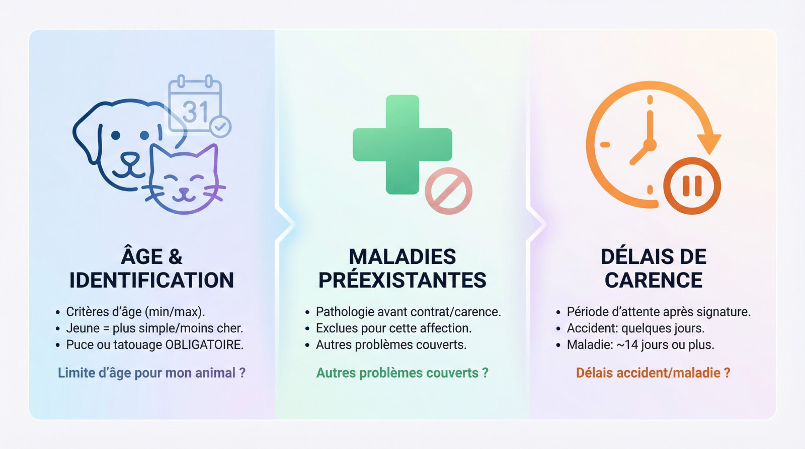 Chien et chat illustrant les critères d'âge et de santé pour l'assurance animaux