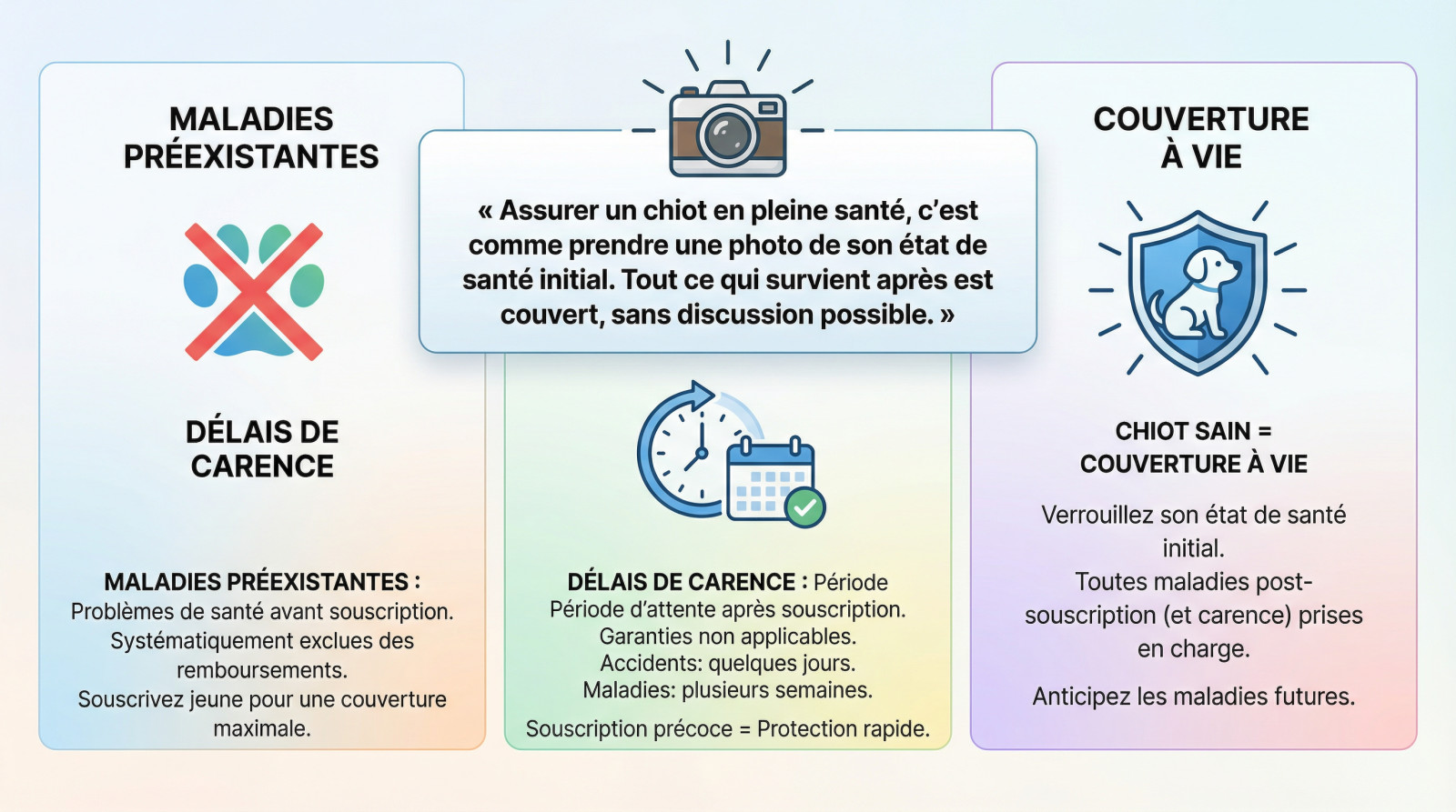 Chiot en bonne santé courant dans l'herbe, illustrant l'importance de l'assurance précoce