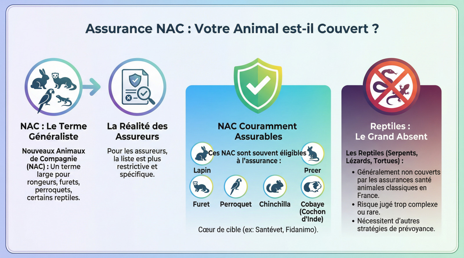 Lapin et furet : quels nouveaux animaux de compagnie peut-on assurer ?