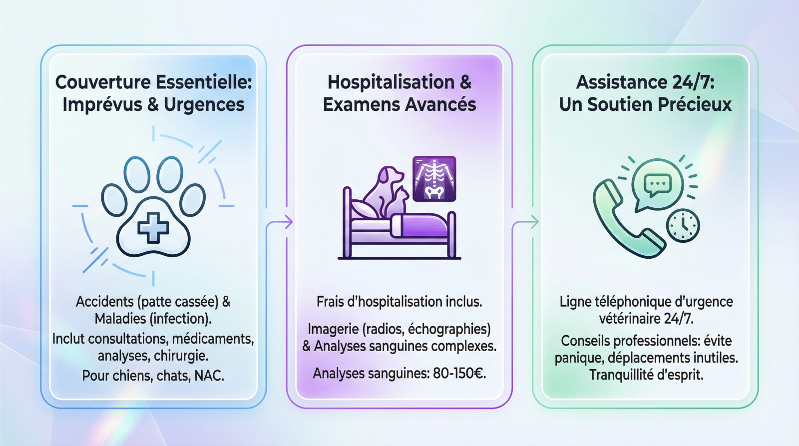 <strong>couverture des soins et l&rsquo;assistance urgence</strong>« ></p>
<h2 id=