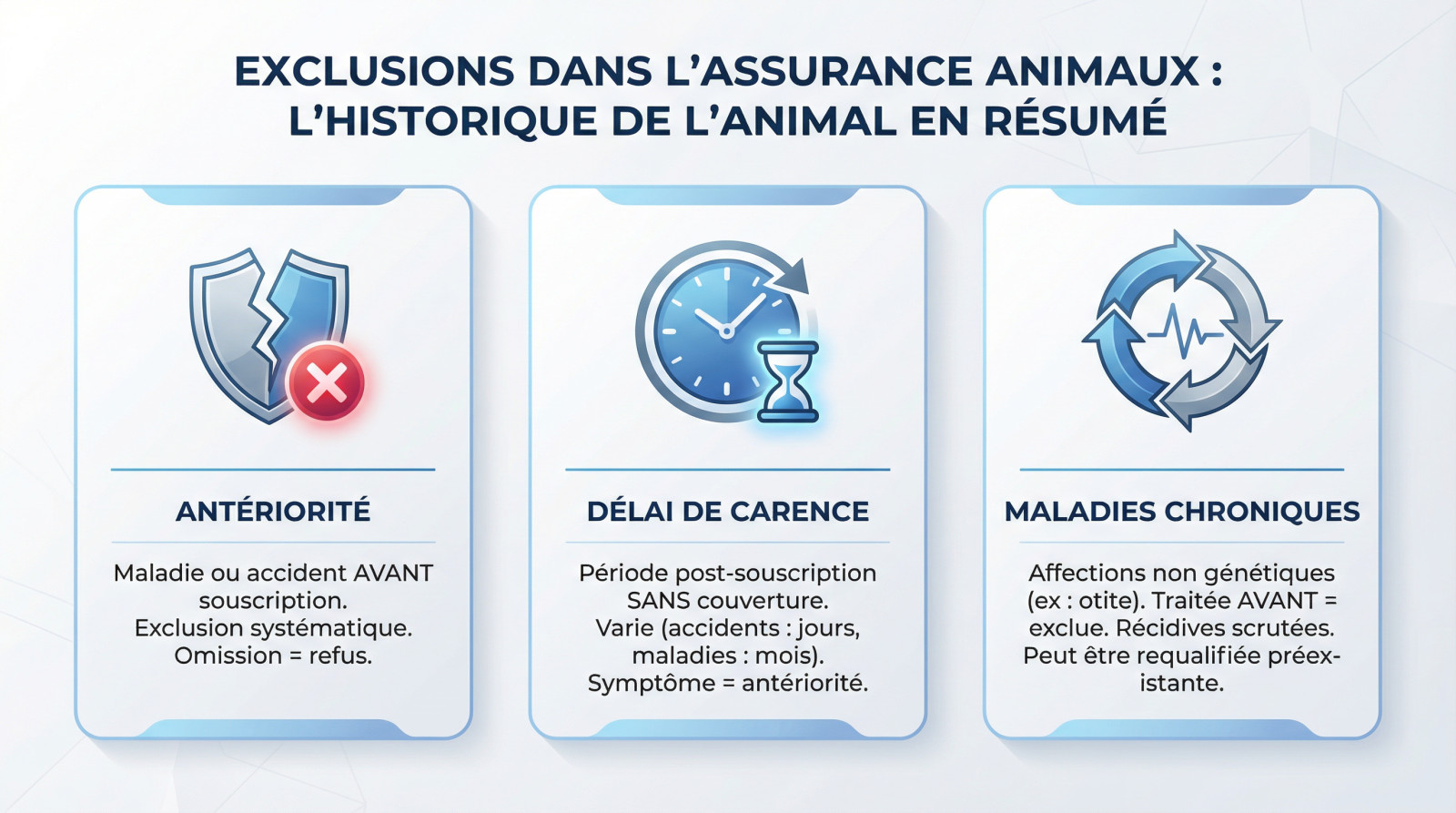 Vétérinaire examinant le dossier médical d'un chien pour vérifier l'historique et les exclusions de garantie